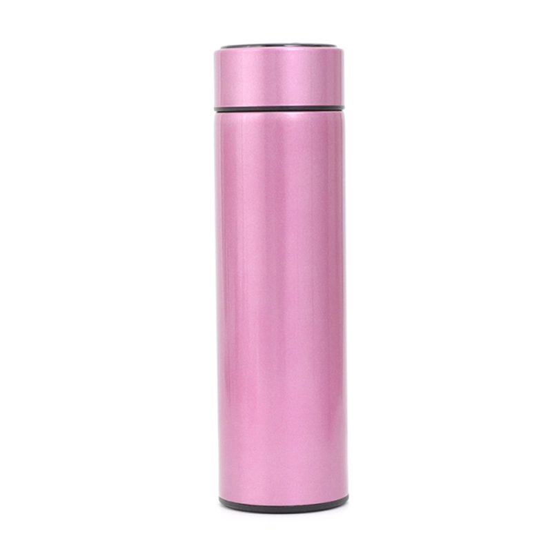 Stainless Steel Smart Water Bottle